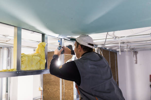 Best Cellulose Insulation in Maple Bluff, WI