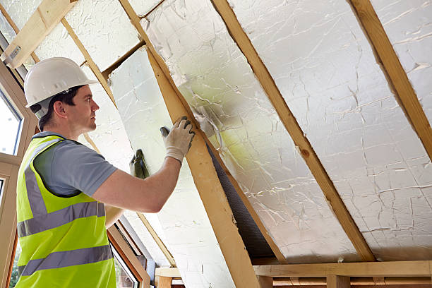 Best Insulation Maintenance and Repair in Maple Bluff, WI